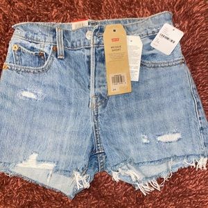 Levi’s by Free People Wedgie short